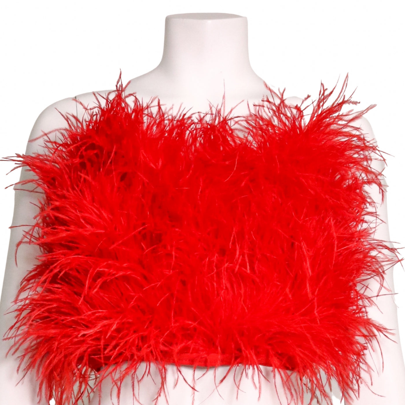 Alanis Red Feather Corset